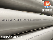 Het Zoutwater van ASTM A312 Mo/254 Mo Seamless Steel Pipe For Behandeling UNS31254/1,4547/6