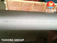 ASTM A312 TP304, EN1.4301, UNS S30400 Naadloze buizen van roestvrij staal