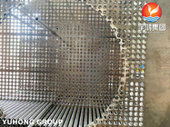 Gesmeed de Buisblad van ASTM A182 316L Roestvrij staal voor warmtewisselaar