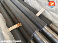 ASTM A106 GR.B Carbon Steel Hfw Fin Tube voor warmtewisselaar en ketel