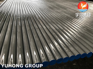 ASTM A268 TP405 (1.4002 UNS S40500) Ferritische staal naadloze buis warmtewisselaar toepassing