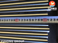 ASTM A269 TP316L roestvrij staal helder gegalveerde SMLS-buis voor strozuigbeker
