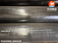 ASTM A53 API 5L Gr.B Zwarte coating Carbon Steel ERW-buizen voor pijpleiding