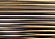 Het Roestvrije staal Naadloze Buis van ASTM A269 TP304