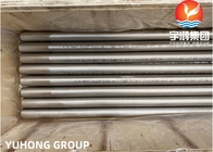 Incoloy 800 800H 800HT 825 Inconel 600 601 625 690 718 Monel 400 Naadloos Buizenstelsel