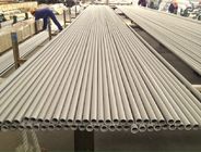 Roestvrij staal Naadloze Buis, ASTM A213 TP310S/310H, 25.4 x 2.11 x 6096mm, ingelegde, ontharde, houten gevalverpakking.