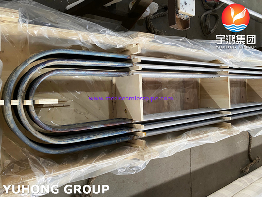 Duplex stalen u-buigbuizen sA789 s32205 S31803