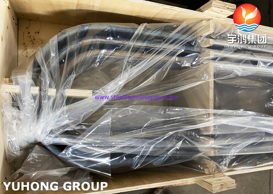 Duplex stalen u-buigbuizen sA789 s32205 S31803
