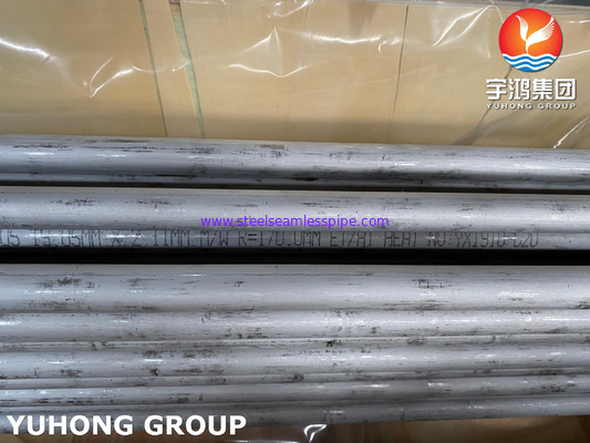 ASME SA789 SAF 2205 / UNS S32205 Duplex stalen warmtewisselaar U Bend Tube