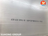 Het Roestvrije staalplaat/Strook/Blad/Rollen van ASTM A240 TP904L SS904L