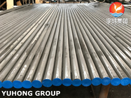 Roestvrij staal ASTM A268 TP405 naadloze buis voor energiecentrales