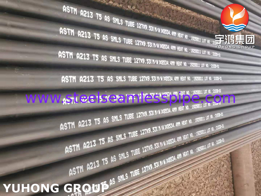 Superverwarmingselement naadloos buis van legeringstaal, ASTM A213 Gr.T5, gebruikt in elektriciteitscentrales