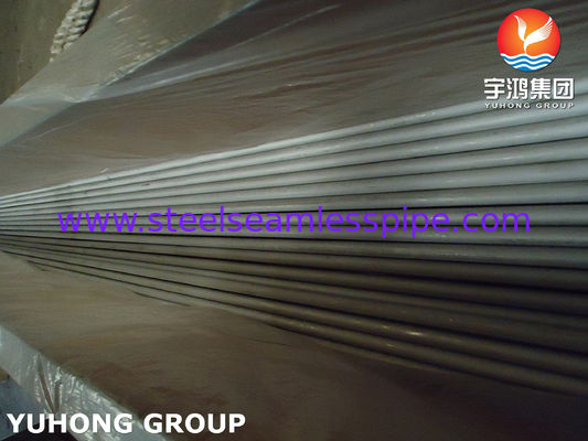 Roestvrij staal naadloze buis Duurzame gepekelde geglote buis voor koelsysteem