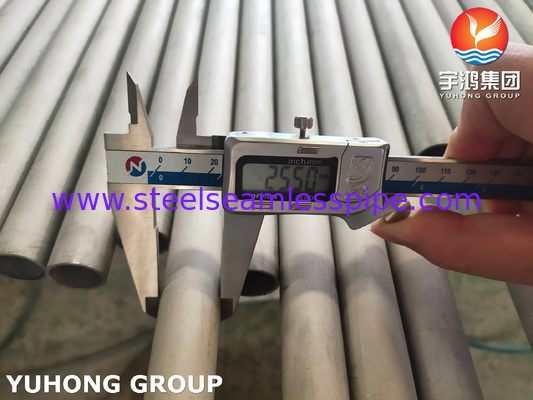 ASME SA789 / ASTM A789 S32205 Dubbele buizen van roestvrij staal