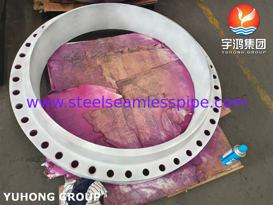 Flangen van roestvrij staal ASTM A182 F310, UNS S31000 Weld Neck RTJ Flange B16.5