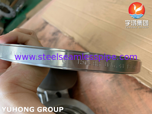 B16.48 ASTM A182 F316L Bril van roestvrij staal blinde flens Figuur-8