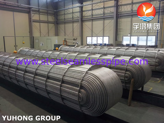 ASME SA213 TP316L Straight Tube bundel in schelp en buiswarmtewisselaar