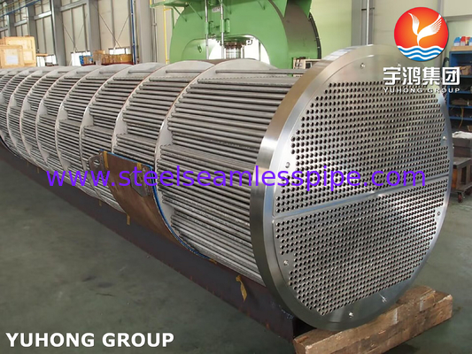 ASME SA213 TP316L Straight Tube bundel in schelp en buiswarmtewisselaar