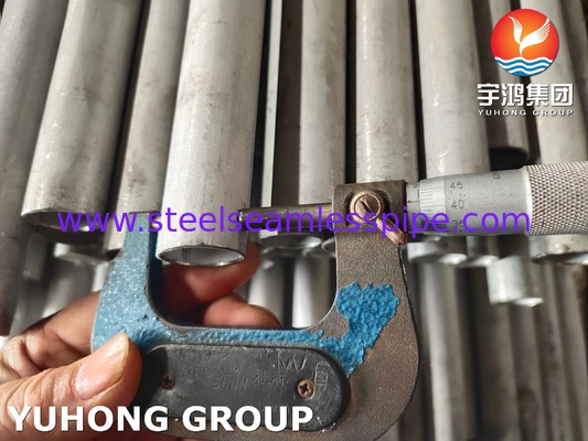 ASTM A789 S31803 Naadloos buisje OD 6-219mm Chloride-resistente chloor-alkaliverwerking