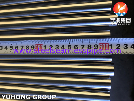 ASTM A269 TP316L Naadloze Buis Ra≤0.2μm Medische Voedingsrietjes, ISO 13485 Gecertificeerd​