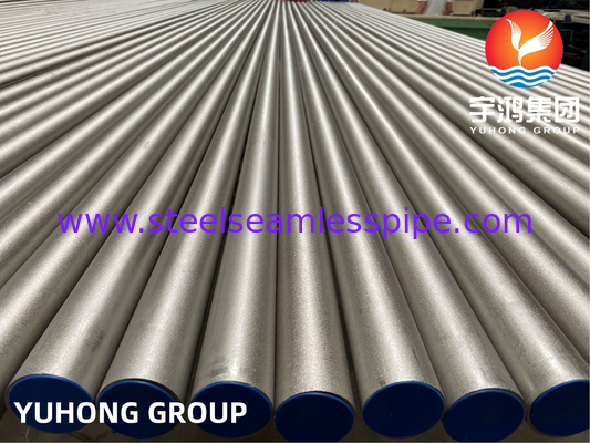 ASTM B407 legering 800 800H 800HT voor buisbundel Toepassing