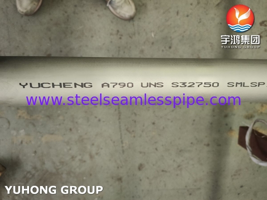 Waterbehandeling ASTM A790 UNS S32750 naadloze superduplex roestvrijstalen buizen