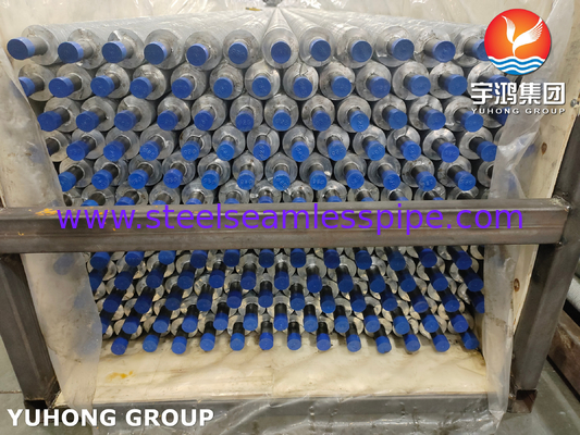 Warmtewisselaar met een schroef, geextrudeerd type, ASTM A213 TP304 met aluminium 6063