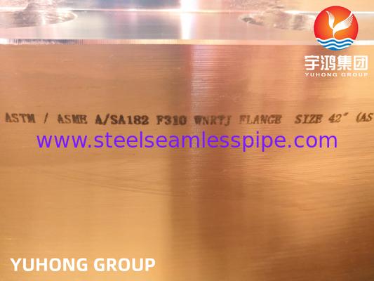 Vlekkeloos staal ASTM A182 F310 Weldneck Flange RTJ voor olie en gas