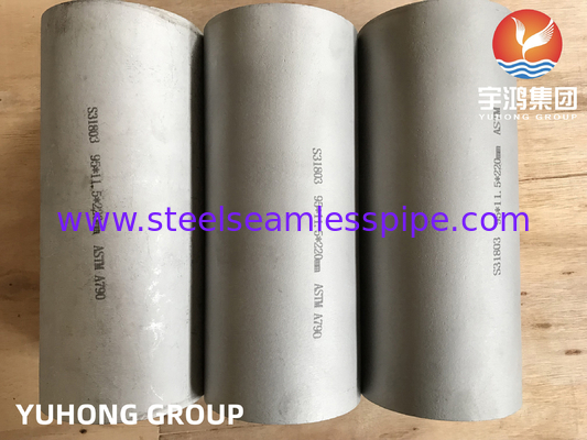 ASTM A790 S31803 F51 Duplex naadloze buizen van roestvrij staal voor petrochemische apparatuur