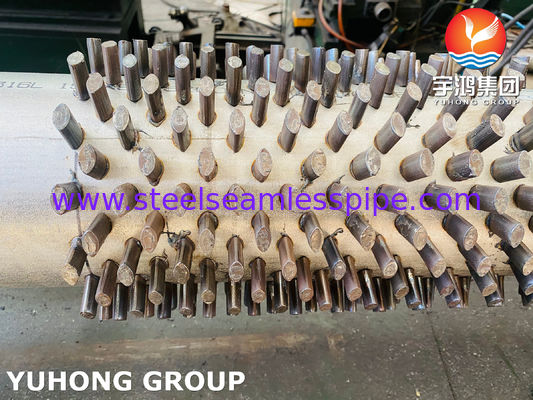 ASTM A312 TP316L gepoetste scharnierbuis met aanpasbare hoogte voor corrosiebestendige warmtewisselapparaten