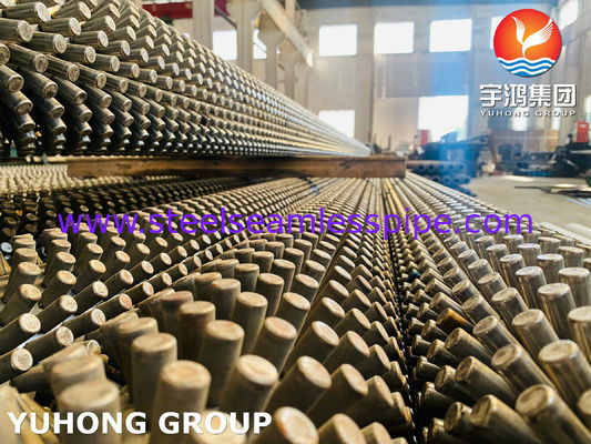 ASTM A312 TP316L gepoetste scharnierbuis met aanpasbare hoogte voor corrosiebestendige warmtewisselapparaten