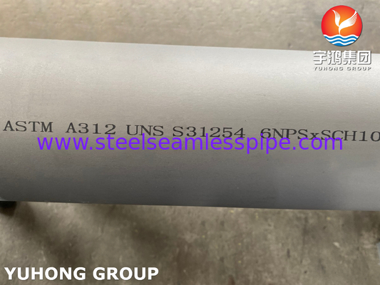 ASTM A312 UNS S31254 254SMO /1.4547 High Mo Austenitische naadloze buis van roestvrij staal