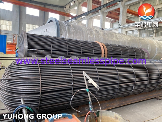 ASME U Stamped Tube Bundle Assembly met naadloze warmtewisselaar U Bend Tube