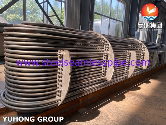ASME U Stamp Customized Tube Bundle voor schelpen en buiswarmtewisselaars