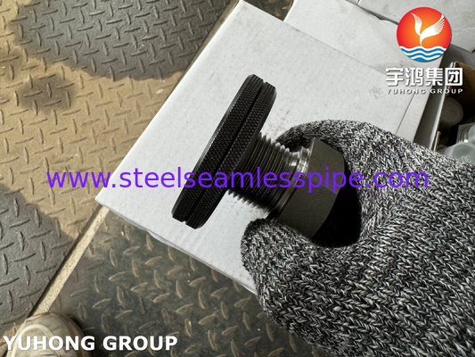 A105 Koolstofstaal aansluitdraad Hex hoofd stekker ASTM A105 ASME B16.11