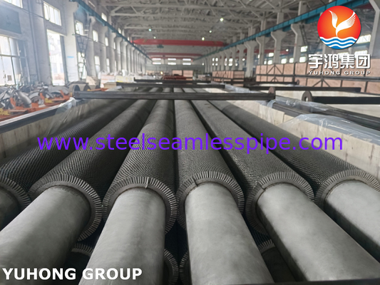 TP304H HFW Fin Tube Serrated Type ASTM A312 voor HRSG warmteherstel stoom systeem