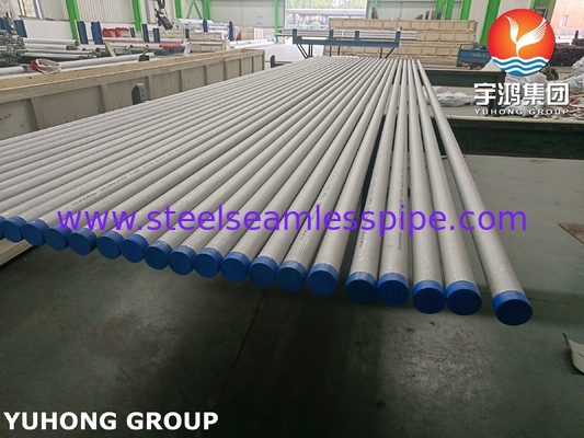 ASTM B407 N08810 naadloze en gelaste buisjes van legering