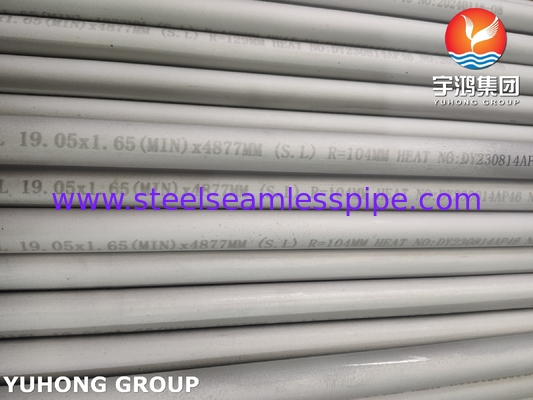 ASTM A213 TP316L roestvrijstalen U-buigbuis olie-gaswarmtewisselaarbuis