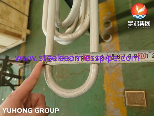 Raffinaderijwarmtewisselaar TP304 U Bend Tube