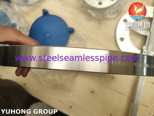 EN1092 ASTM A182 F53 / UNS S32750 Super Duplex 2507 Plaat / Flat Flange