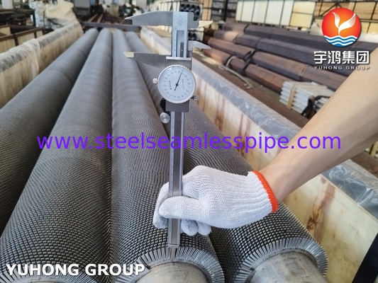 HFW Geraasde Fin Tube ASTM A312 TP304H roestvrij staal met SS304 convectie spoel