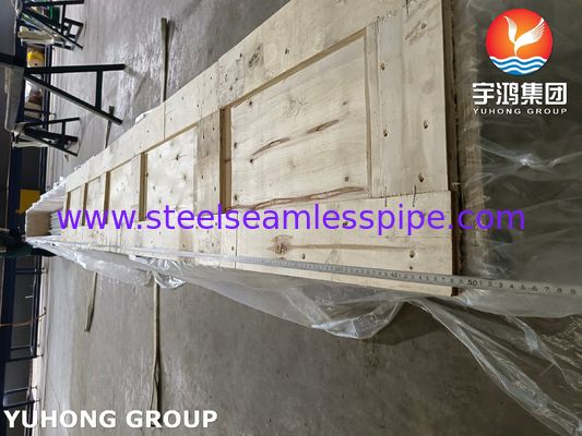 ASME SA213 TP321 S32100 Naadloos buisje van roestvrij staal voor superverwarming