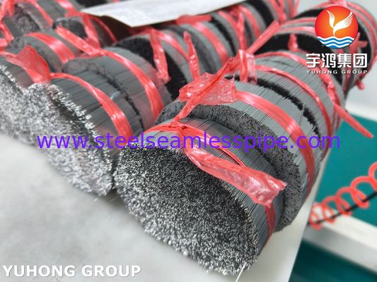 Medisch roestvrij staal geslepen naaldbuis voor geneesmiddelenlevering SUS304