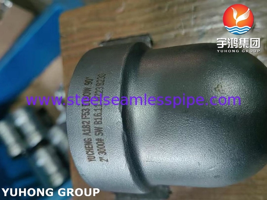 ASTM A182 F53 S32750 Super Duplex Roestvast Stalen Fitting 90 Graden Elleboog Chemische Toepassing