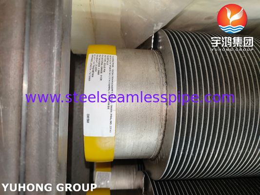 ASTM A376 TP347H Solid Spiral High Frequency weld HFW Fin Tube Met 11Cr