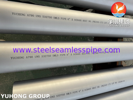 ASTM A790 UNS S32750 Naadloze Austenitische Roestvast Stalen Super Duplex Stalen Pijp voor Olie- en Gastoepassingen