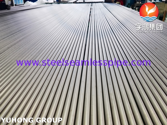 ASME SB338 UNS R50400 Naadloze Titanium Buizen voor Condensors en Warmtewisselaars