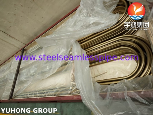 Zeewaterbestendige ASTM B111 C44300 U-Bend Buizen Warmtewisselaar Leverancier