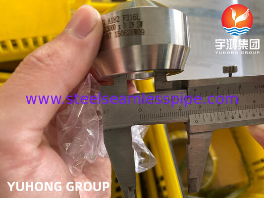 ASTM A182 F316/F316L Stainless Steel Fitting Weldolet BW MSS-SP-97