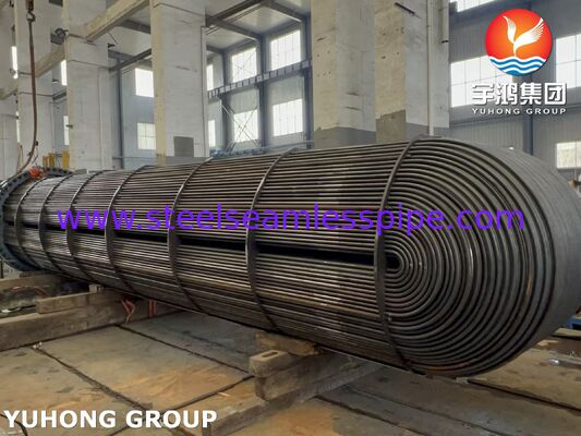 Carbon Steel Heat Exchanger Tube Bundle met ASME SA179 tubes en SA266 Gr.2 tube sheet voor ASME Code Construction